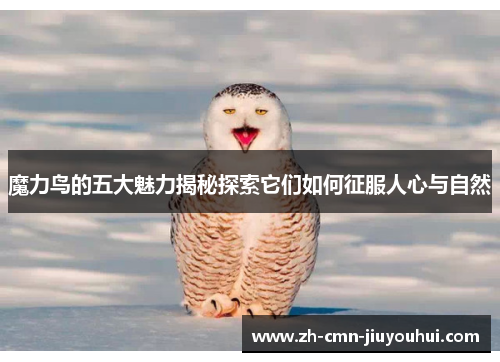 魔力鸟的五大魅力揭秘探索它们如何征服人心与自然